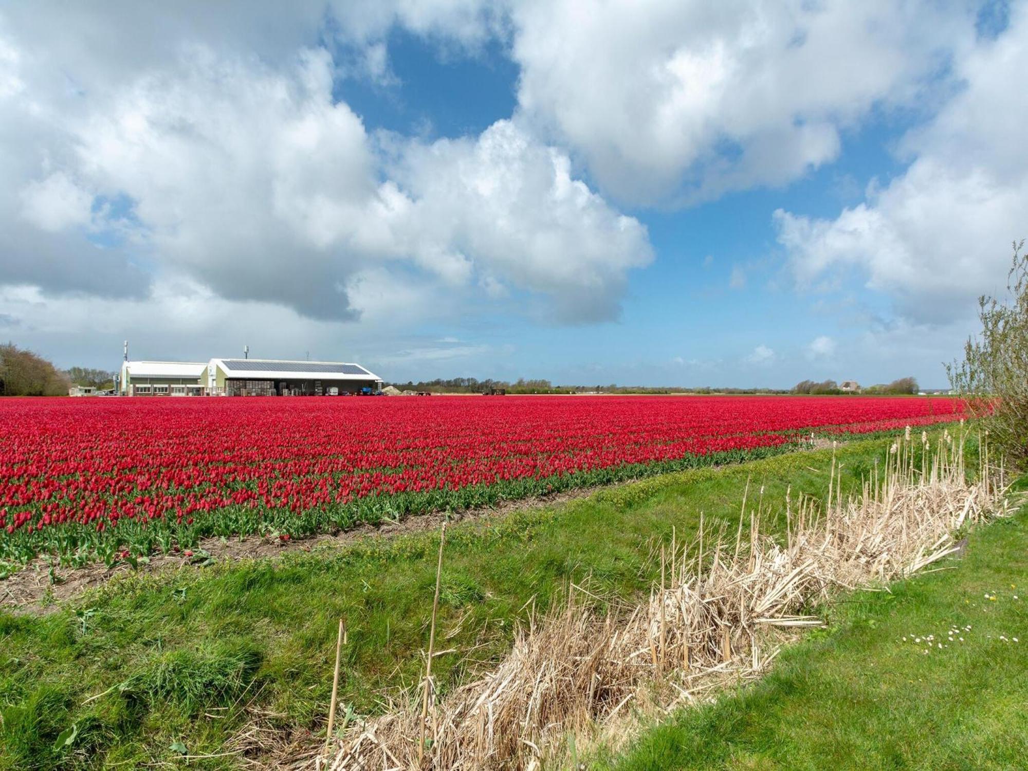 Holiday Home With Fabulous Garden Sint Maartensvlotbrug Luaran gambar